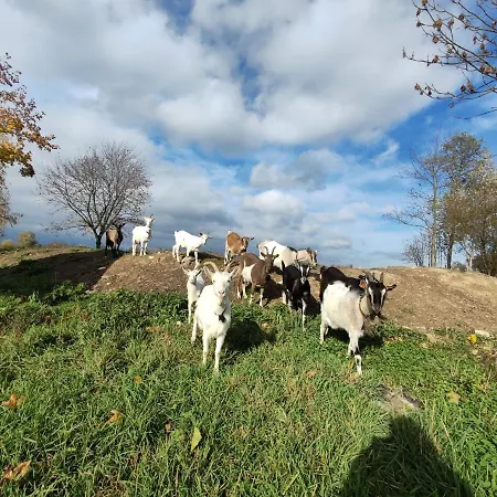 Bajka-domek Na Wsi 펜션 *