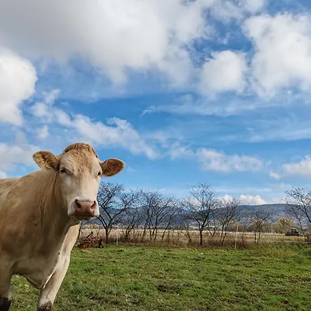 펜션 Bajka-domek Na Wsi Domaszkow