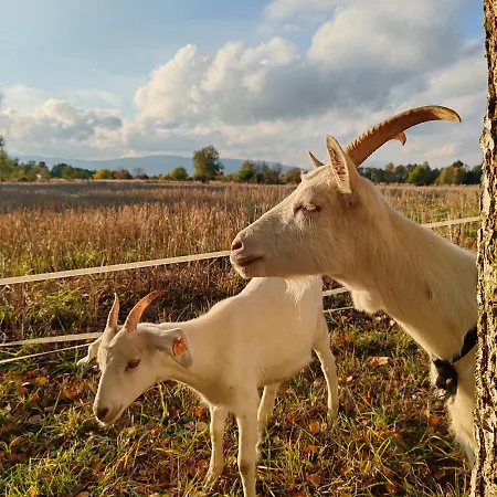 Bajka-domek Na Wsi *