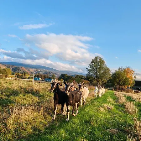 Bajka-domek Na Wsi Domaszkow