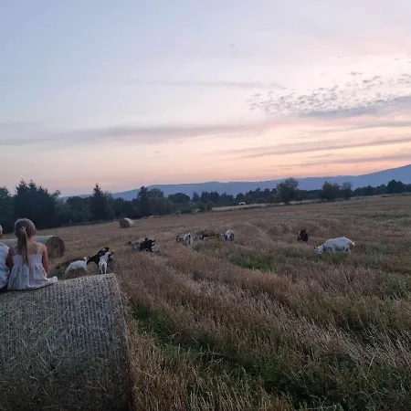 Bajka-domek Na Wsi * Domaszkow