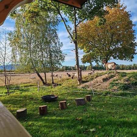 Casa de Férias Bajka-domek Na Wsi Domaszkow
