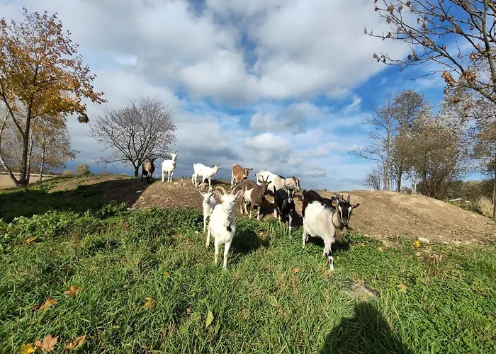 Bajka-domek Na Wsi Ferienhaus *
