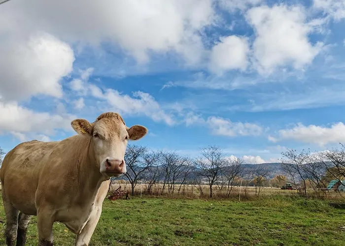 Ferienhaus Bajka-domek Na Wsi Domaszkow