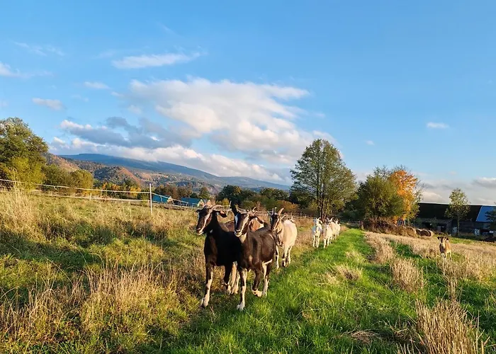 Bajka-domek Na Wsi Domaszkow