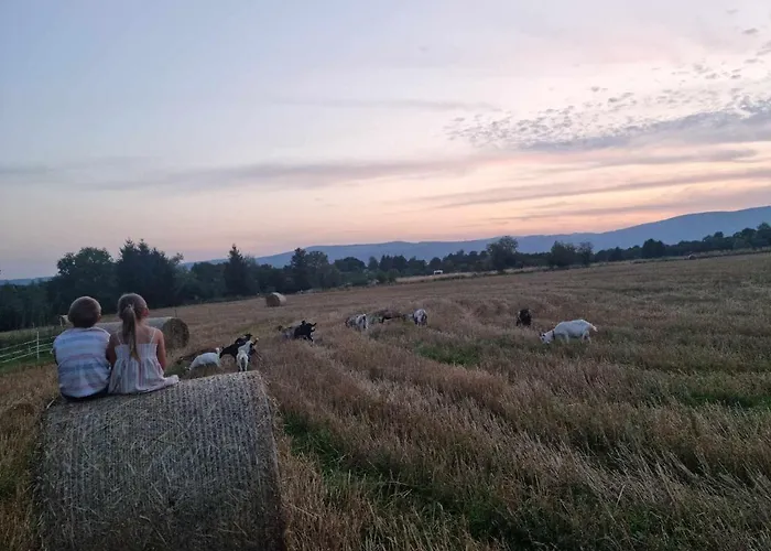 Bajka-domek Na Wsi * Domaszkow